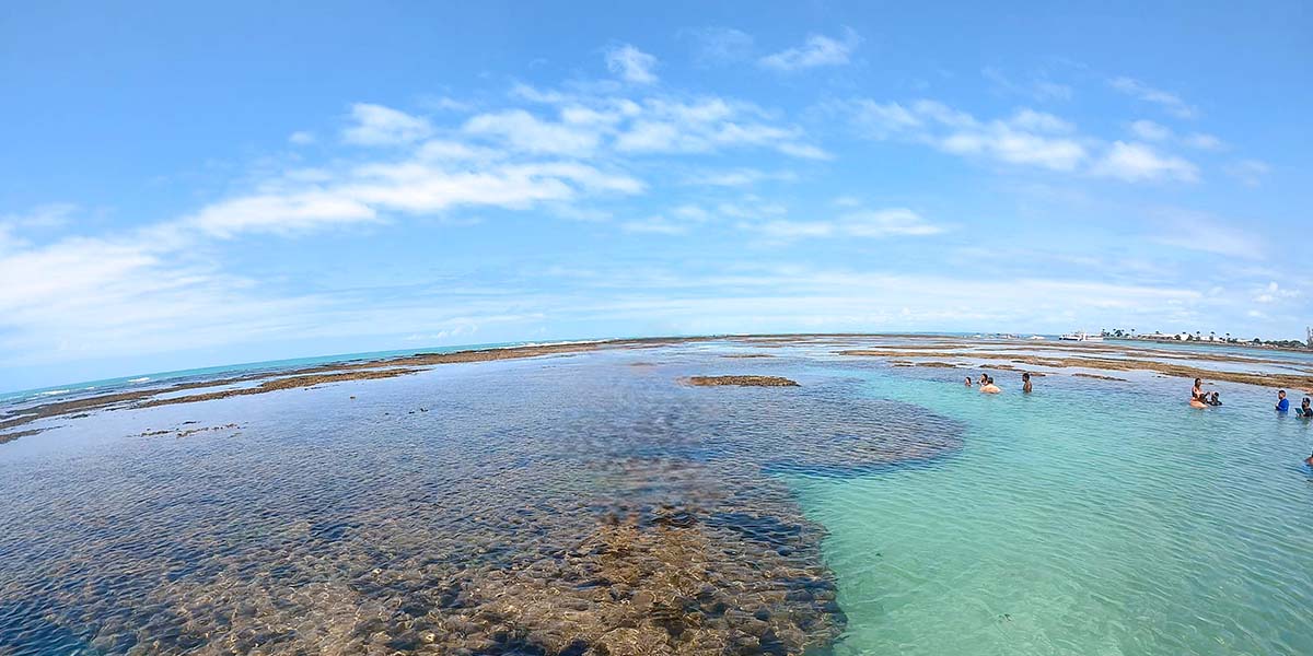 Importância dos corais para as piscinas naturais de Maceió