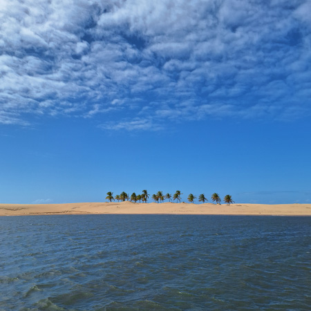 Conheça a Foz do Rio São Francisco com o melhor guia da região