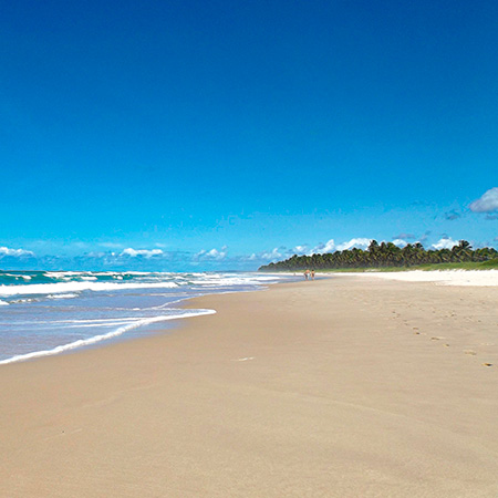 Conheça a Praia do Francês com o melhor guia da região