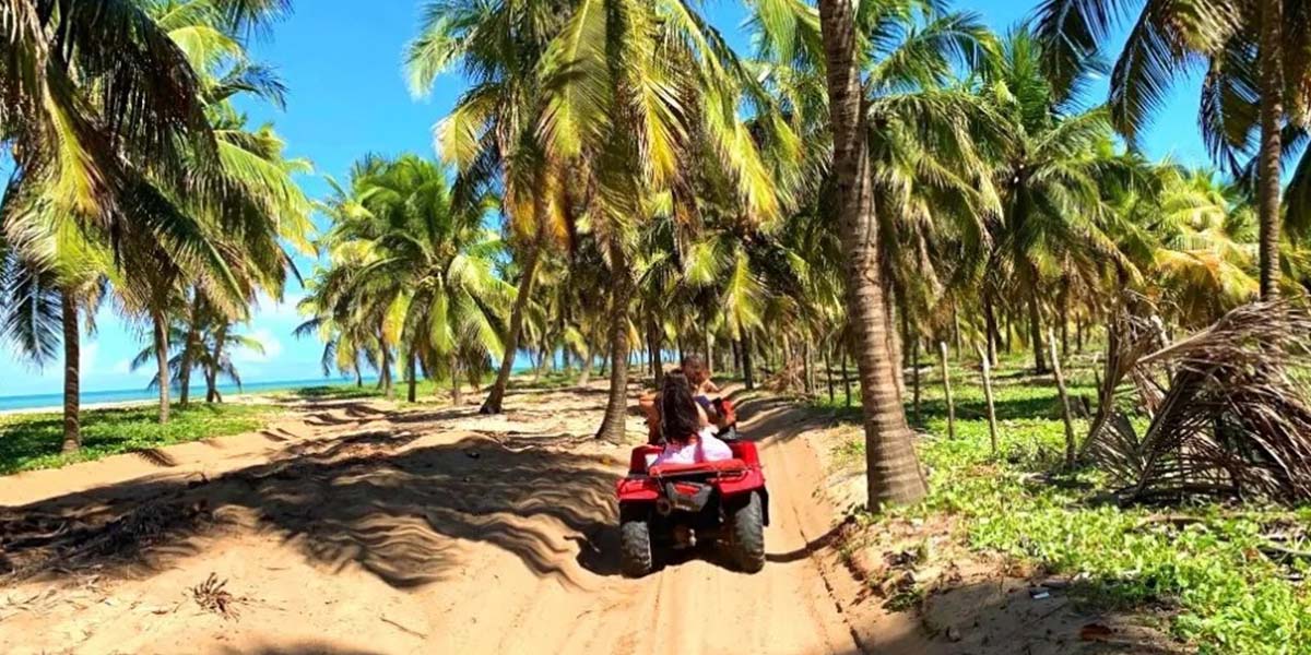 alagoas4
